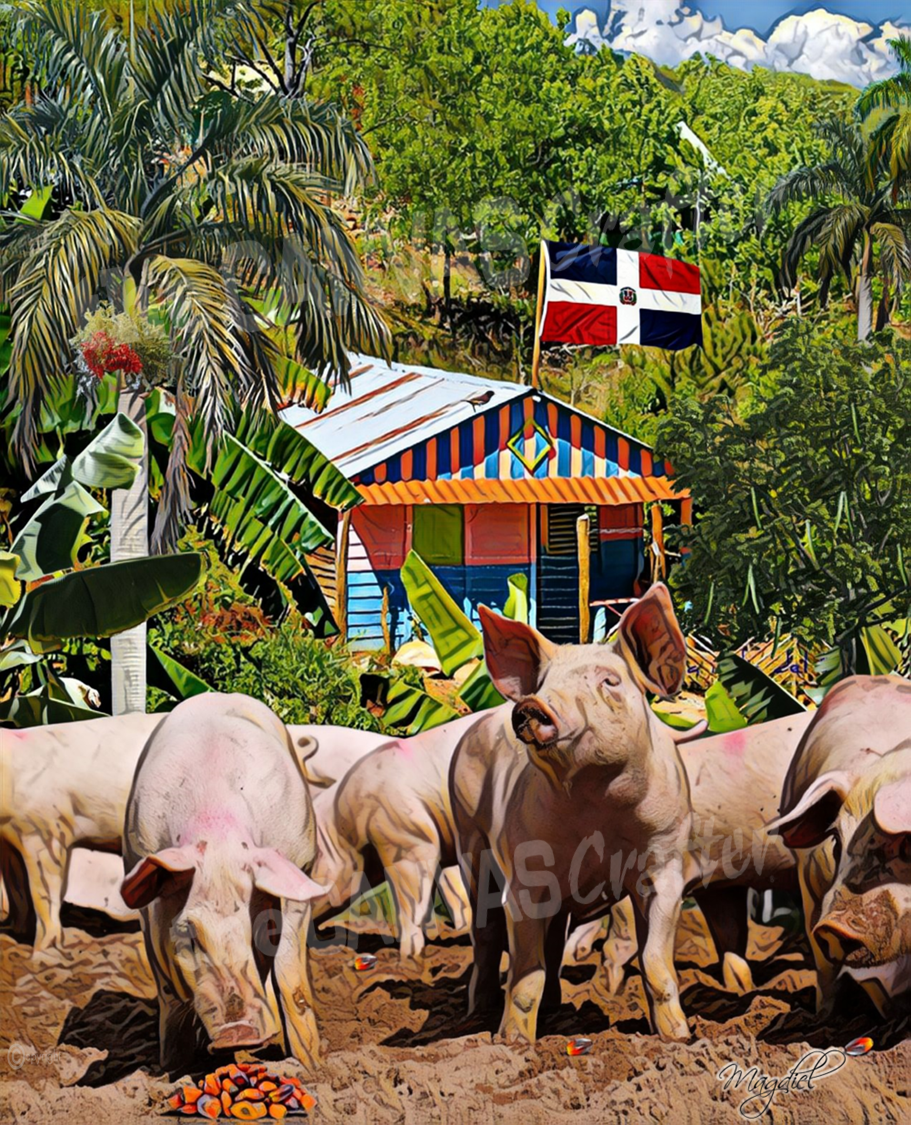 Dominican Republic Campesino house with Pig farm