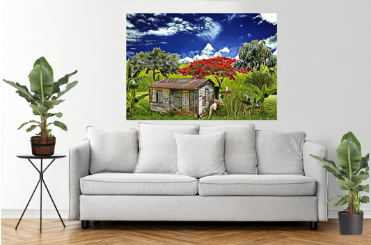 Jibaro House Trio