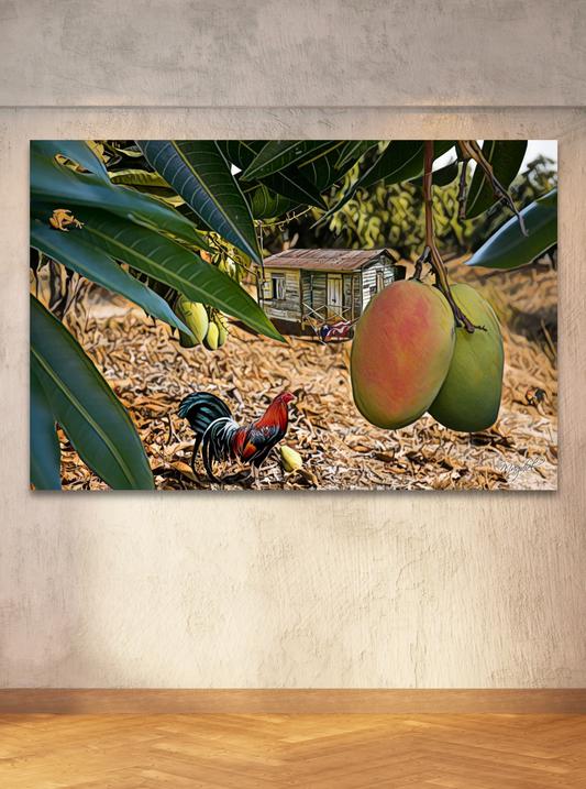 Jibaro Mango