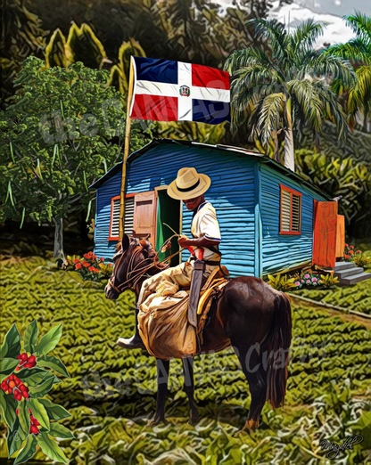 Dominican Republic Campesino House Rice plantation