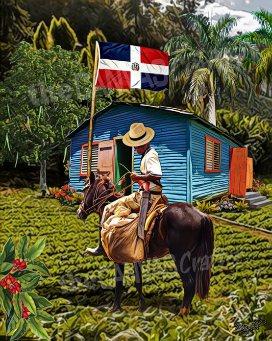 Dominican Republic Campesino House Rice plantation