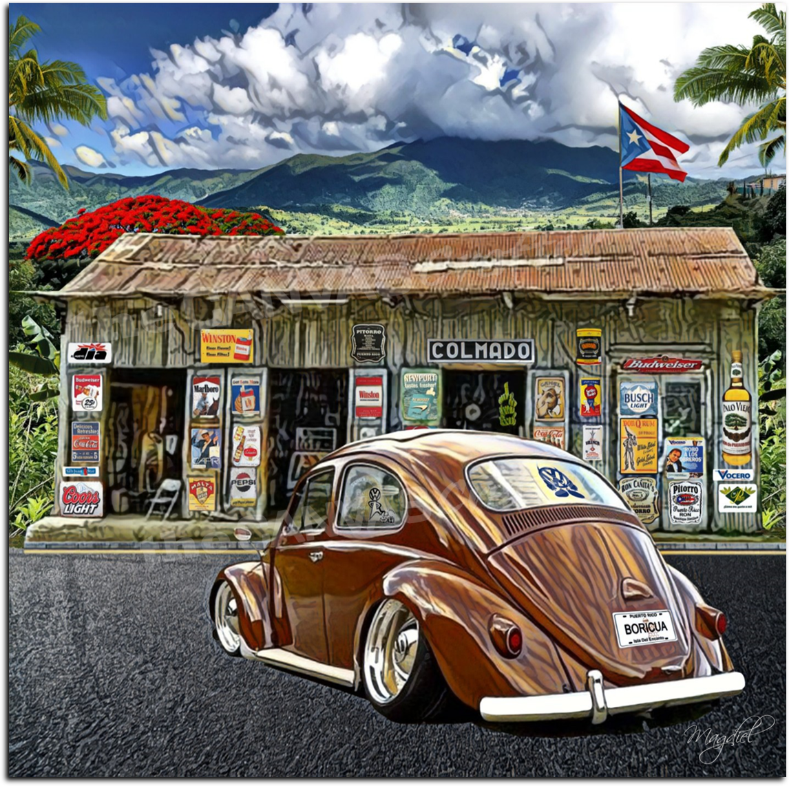 Volky Brown Colmado El Yunque on the Rainforest