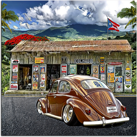 Volky Brown Colmado El Yunque on the Rainforest