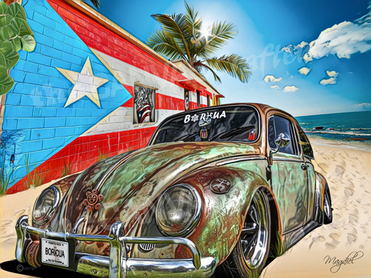 Volky Patina on the Dorado Beach