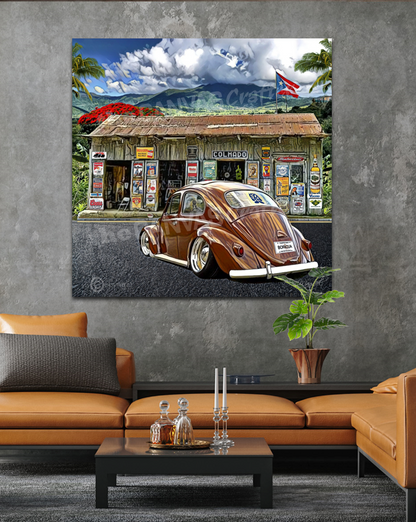 Volky Brown Colmado El Yunque on the Rainforest